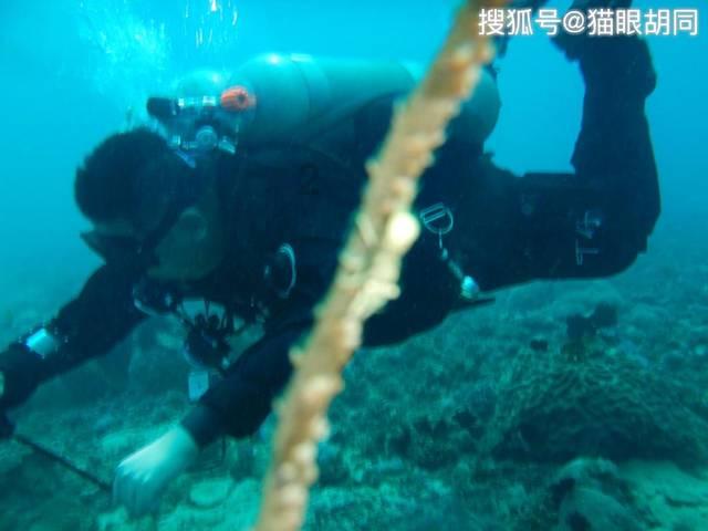 填满方块格